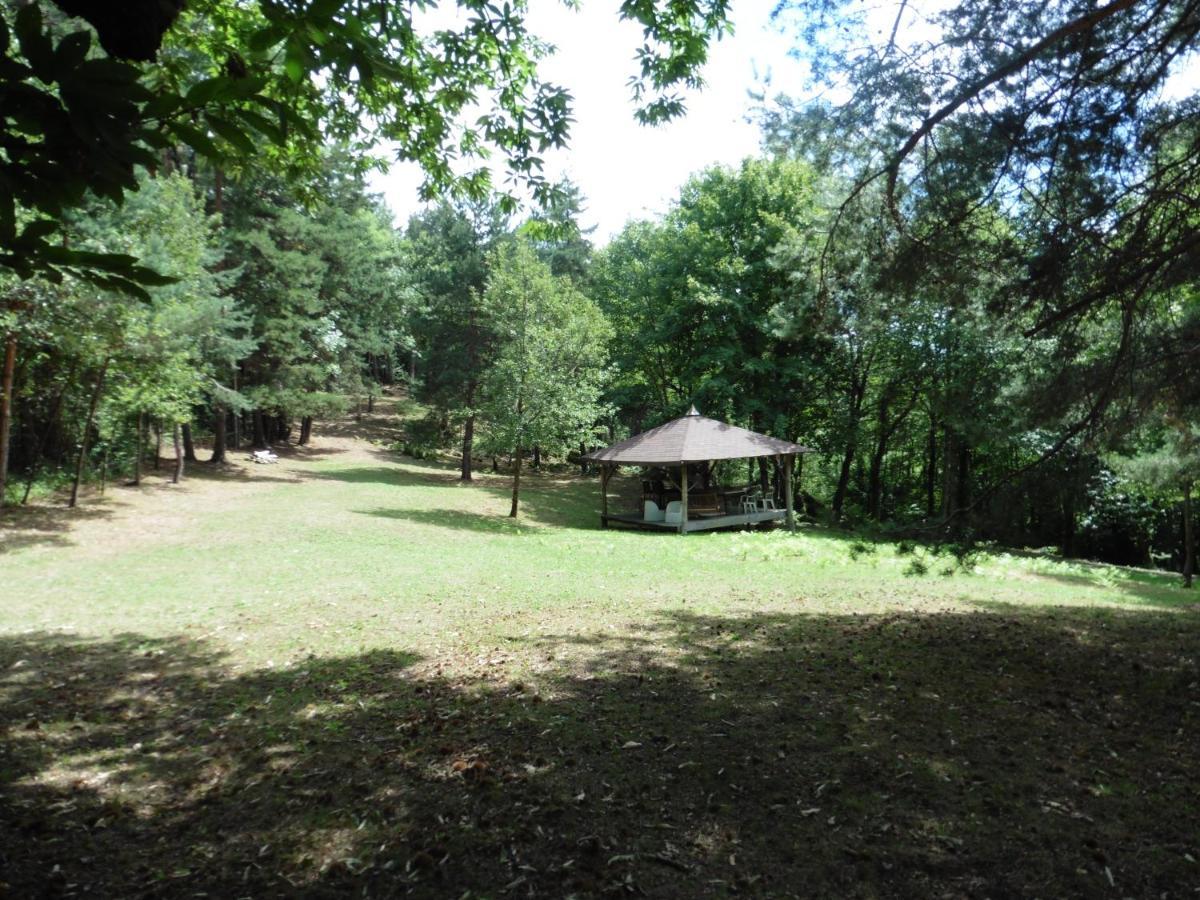 Le Petit Rias Gite Soleil Saint Maurice en Chalencon Exterior photo