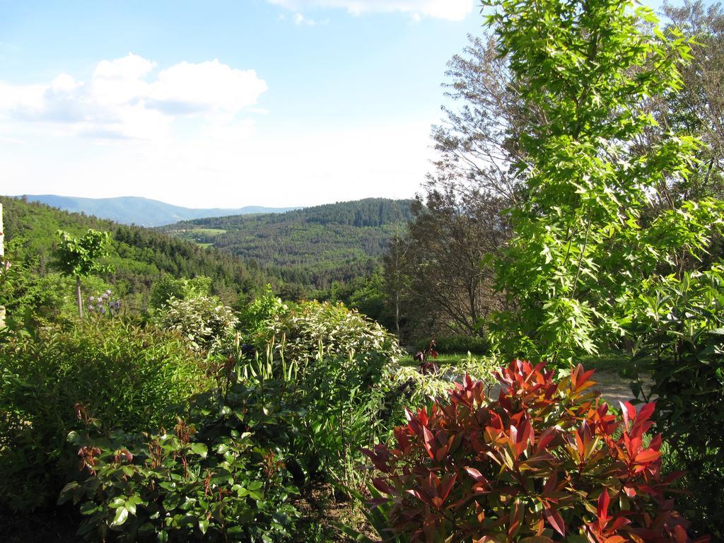 Le Petit Rias Gite Soleil Saint Maurice en Chalencon Exterior photo